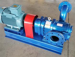 轉(zhuǎn)子泵-不銹鋼轉(zhuǎn)子泵