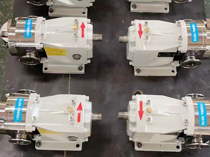 凸輪轉(zhuǎn)子泵