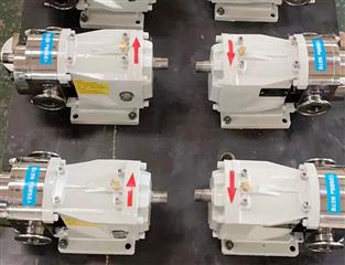 江蘇轉(zhuǎn)子泵