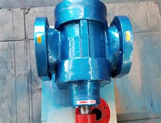 江蘇LB型冷凍機(jī)專用泵