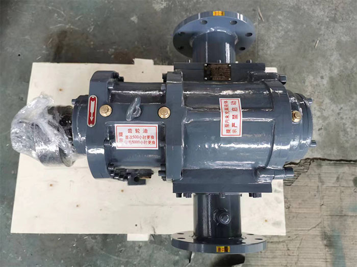 LZB節(jié)能轉(zhuǎn)子泵