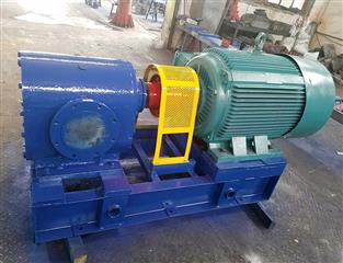 BW2500保溫齒輪泵-保溫齒輪泵