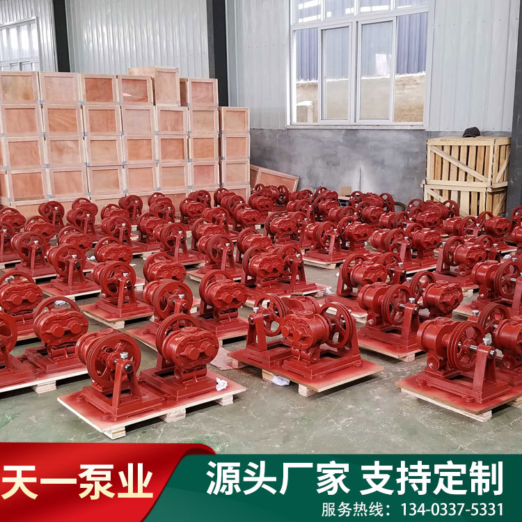 <strong>轉(zhuǎn)子泵</strong>